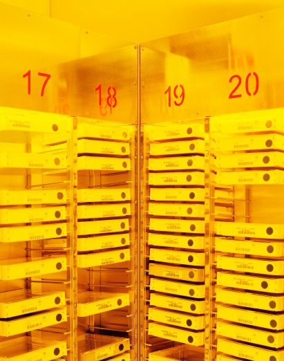 Exposure mask storage, semicondctor production