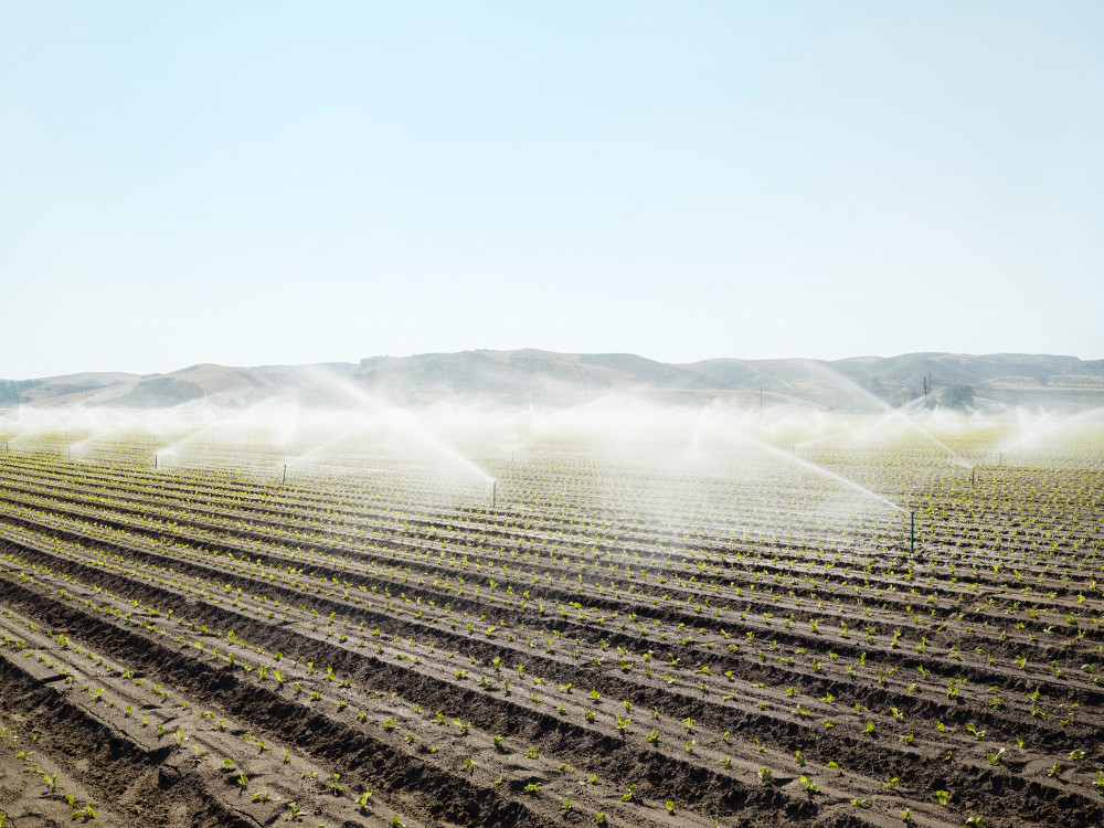 Permanent irrigation near Santa Maria, USA