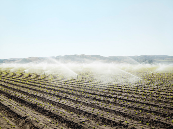 Permanent irrigation near Santa Maria, USA